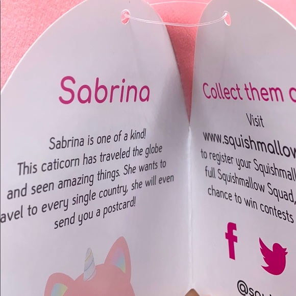 TODAY ONLY 🔥$23🔥Squishmallow - Picture 6 of 6